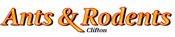 Clifton Ant Exterminator & Rodent Control Company Logo